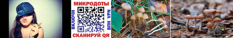 Галлюциногенные грибы Magic Shrooms  Ленинградская 